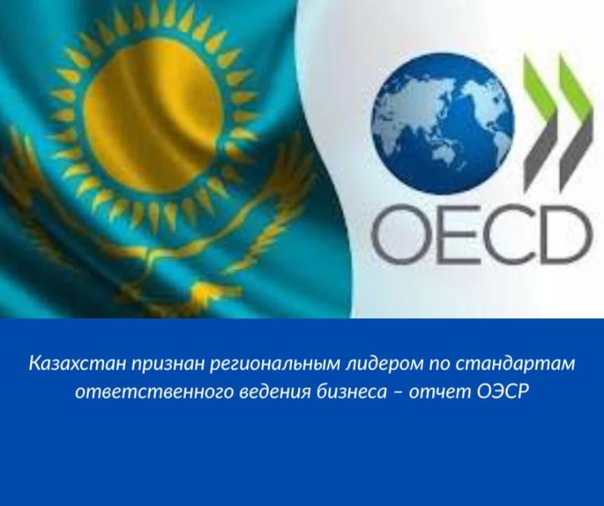 ОЭСР признала Казахстан региональным лидером по стандартам ответственного ведения бизнеса