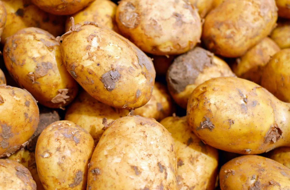 Цены на продукты питания растут из-за глобального потепления, - исследование