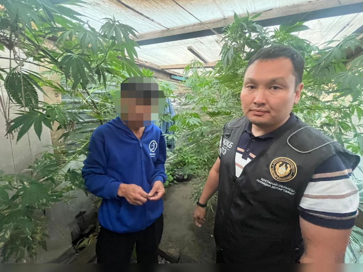 Оружие в доме и марихуану в огороде нашли у сельчанина в Костанайской области
