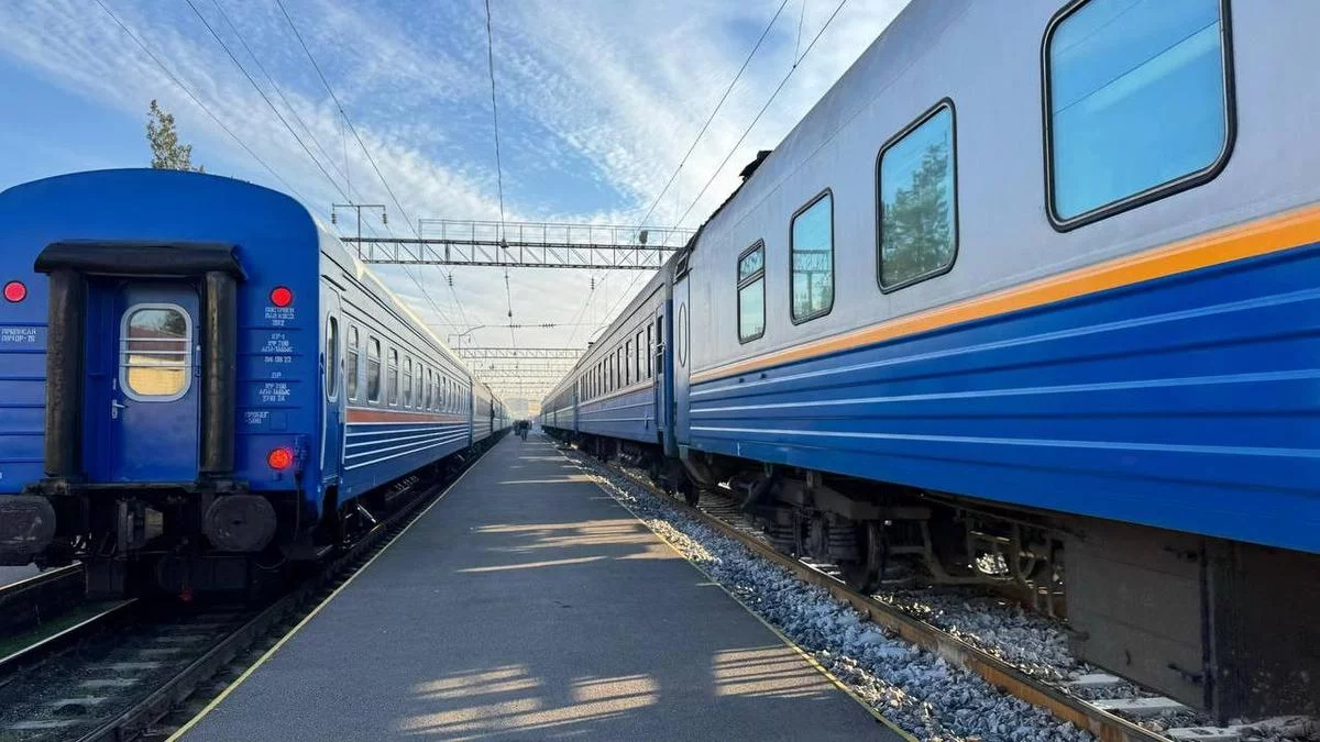 Пойызда босанған сәбиін дәретханаға ағызып жіберген
