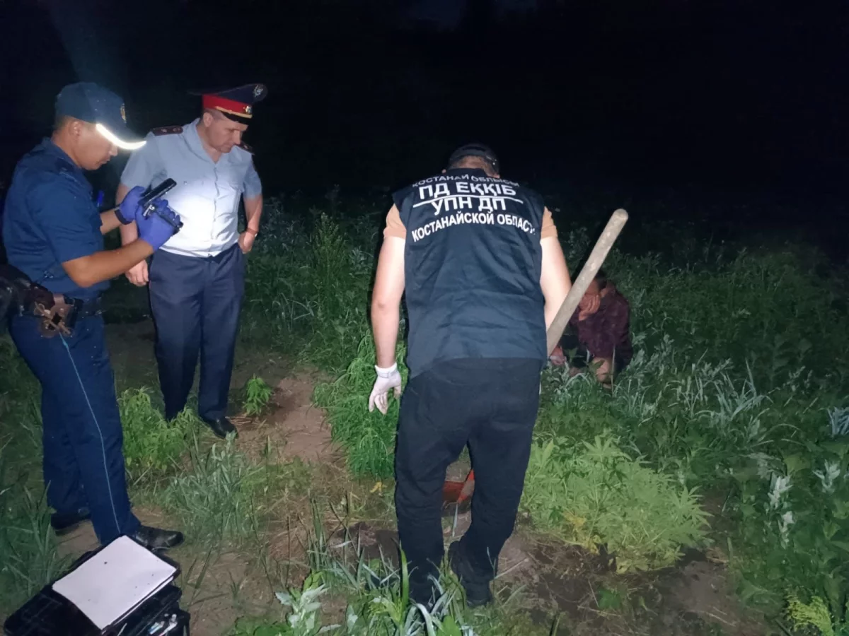 Сельчанин выращивал каннабис у себя в огороде в Костанайской области