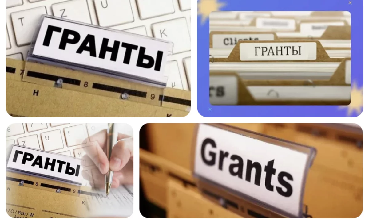 Почти две тысячи грантов выделили абитуриентам акиматы регионов: как их получить
