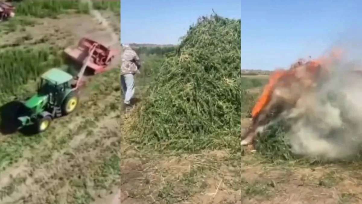 Полиция усилила борьбу с наркотрафиком в Жамбылской области