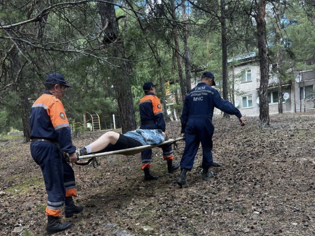 Женщина получила травму при сборе грибов в Каркаралинске