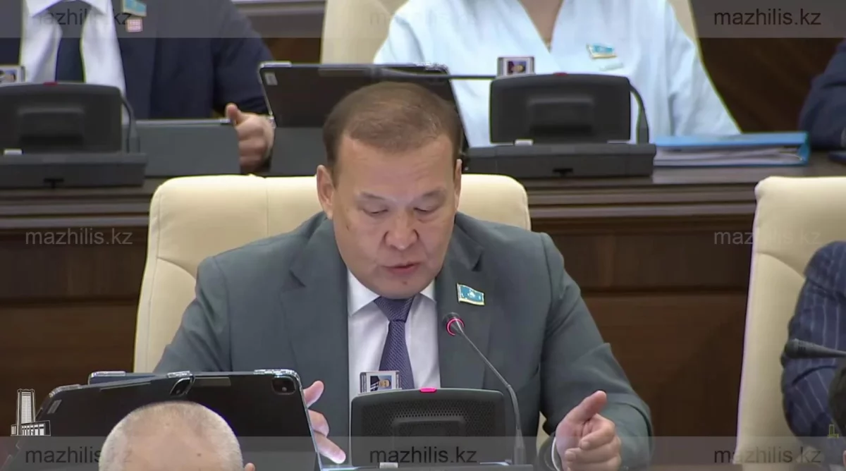 Депутат предложил усилить наказание, вплоть до уголовного за двойное гражданство
