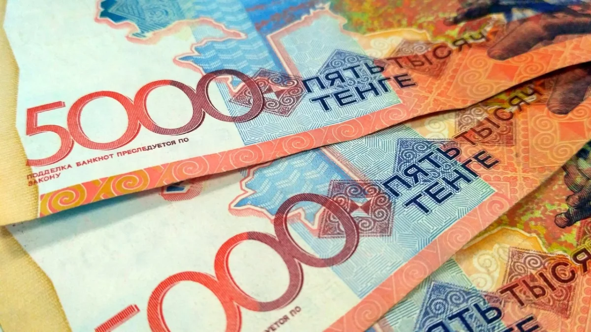 На севере Казахстана предприятия задолжали более 100 миллионов тенге зарплаты 553 работникам