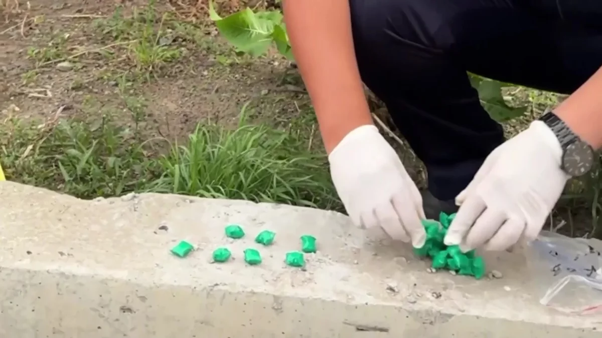 Крупную партию наркотиков изъяли полицейские в Павлодаре