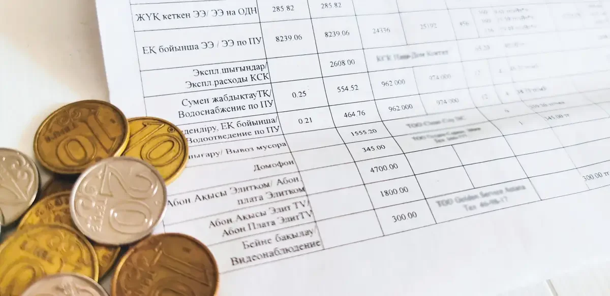 «Неғұрлым көп тұтынған соғұрлым көп төлейді» – Тоқаев әділетті тарифтер туралы айтты