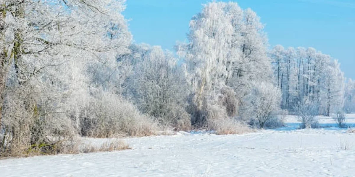 Шымкент пен Алматыда тұман түсіп, Астанада аяз болады