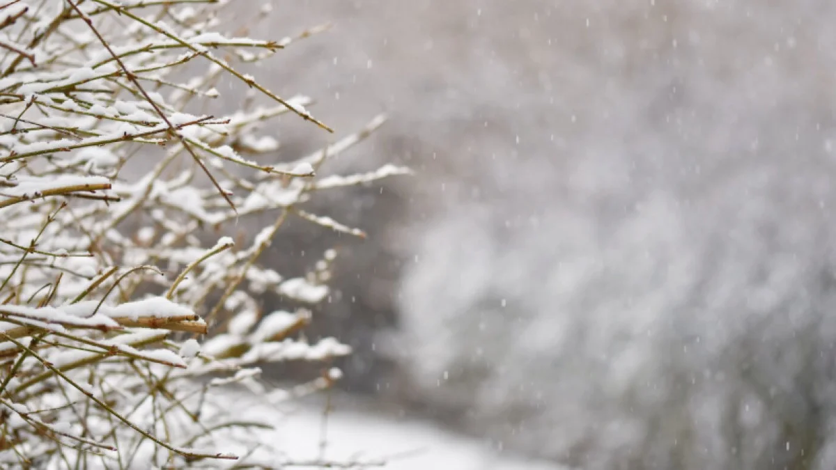 Дауылды ескерту жарияланды