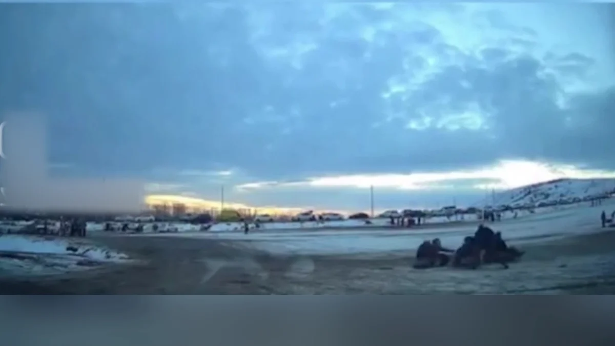 Түркістан облысында тюбингке мінгескен бірнеше адам жыраға түсіп кетті