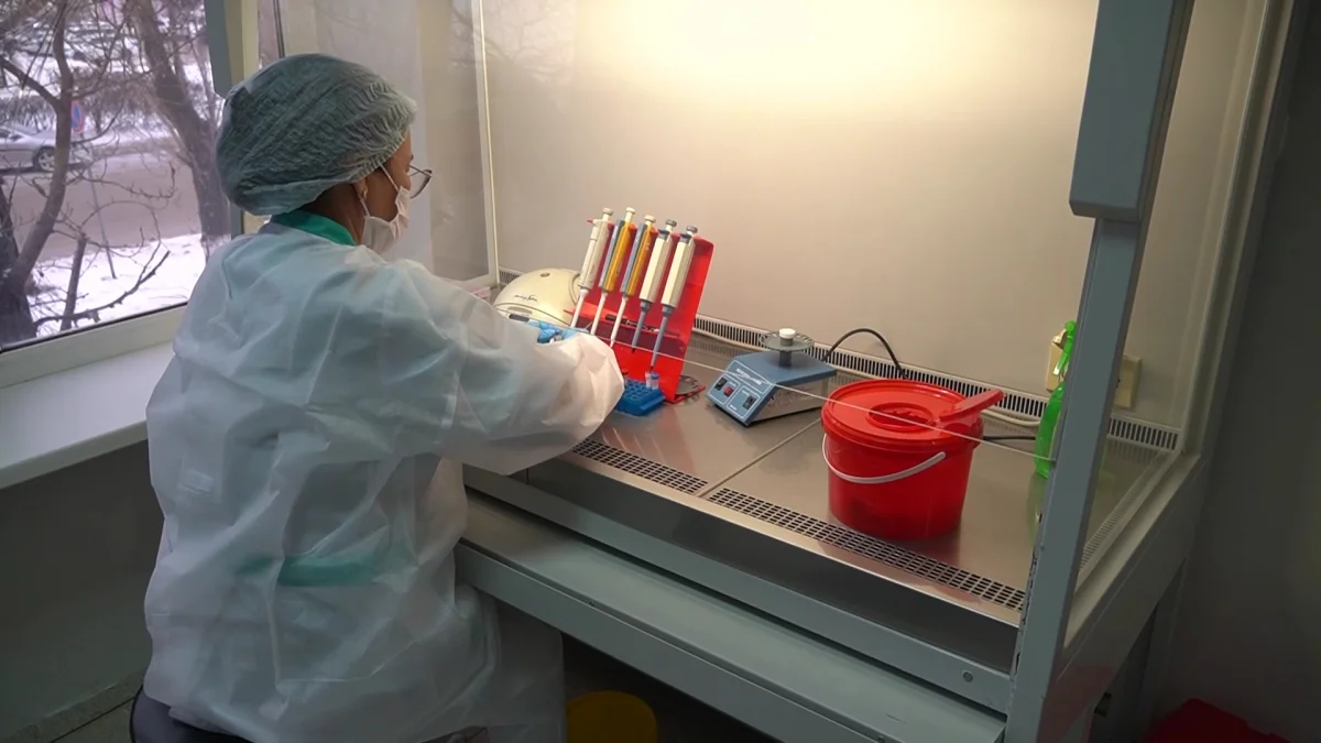 Батыс Қазақстан облысында шошқа тұмауы тіркелді