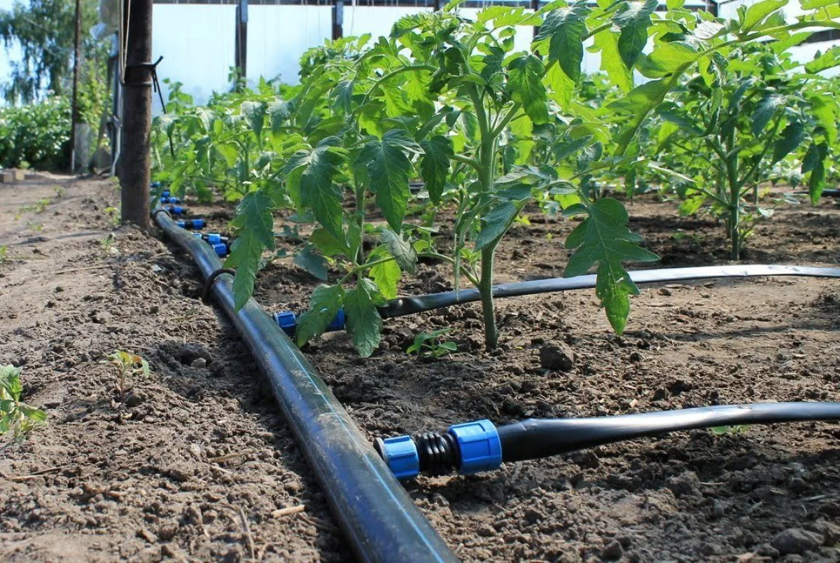 Тұтынушылардың құқығын бұзған суару суын жеткізушілерге 17,8 млн теңге айыппұл салынды