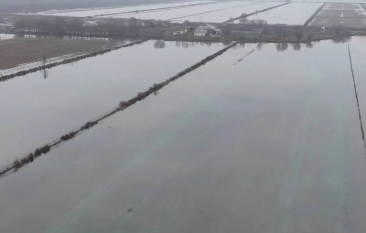 Почвенная терапия: в Туркестанской области оздоравливают орошаемые земли