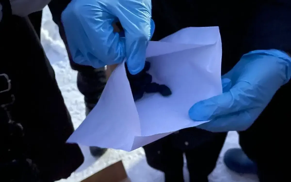 91 бұрынғы «закладчик» профилактикалық жұмыстарға тартылды – ІІМ