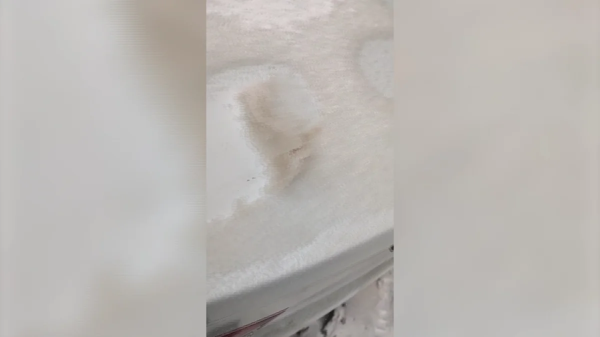 В «желтом» снеге Усть-Каменогорска вредных веществ не обнаружено