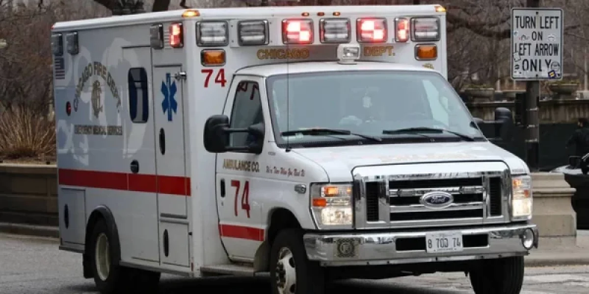 АҚШ-та бала анасының тапаншасымен екі жастағы інісін атып өлтірген