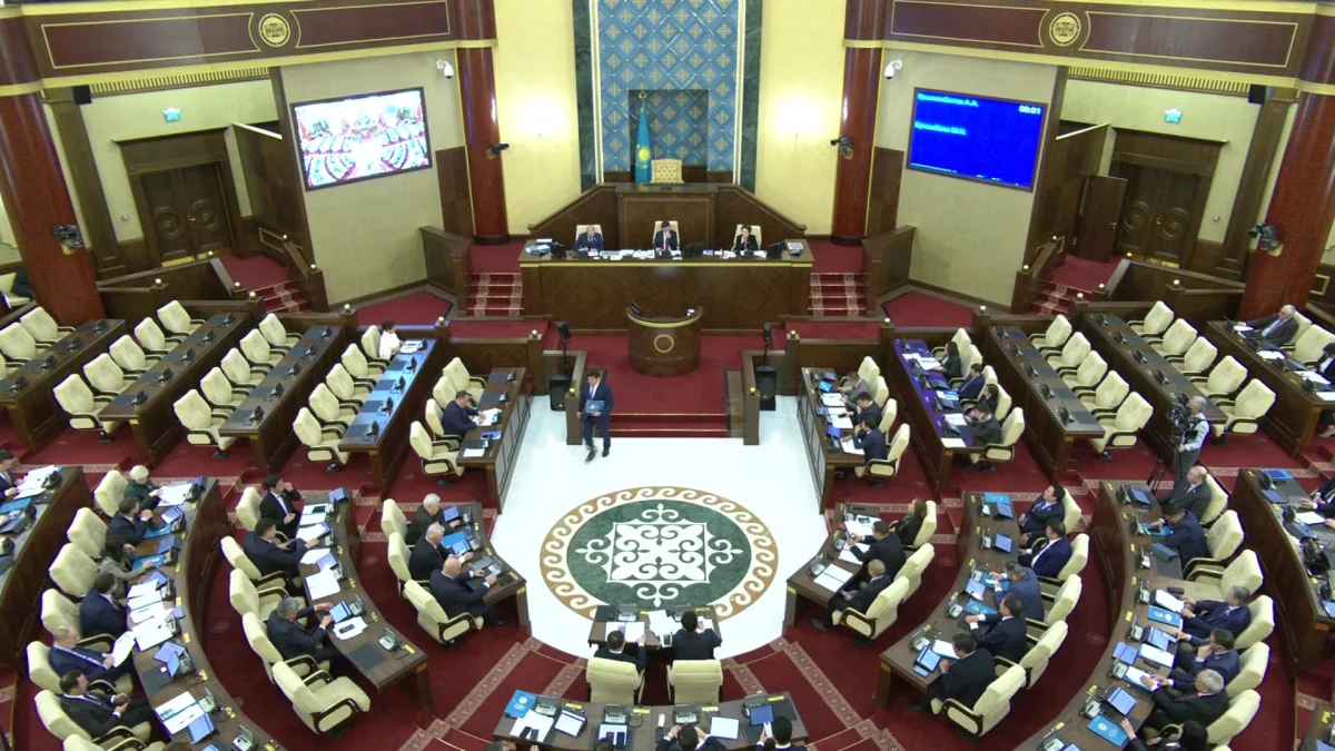 Ограничения на алкоголь и контроль за «умными» устройствами обсудили в Мажилисе