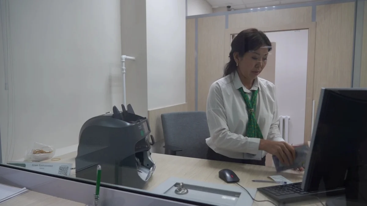 "Льготные кредиты выросли в 10 раз, а эффекта нет"- депутат Сената о проблемах АПК