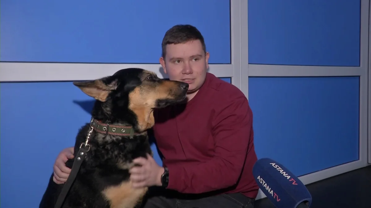 Собаке заменили тазобедренный сустав: впервые в Казахстане ветеринары провели уникальную операцию животному