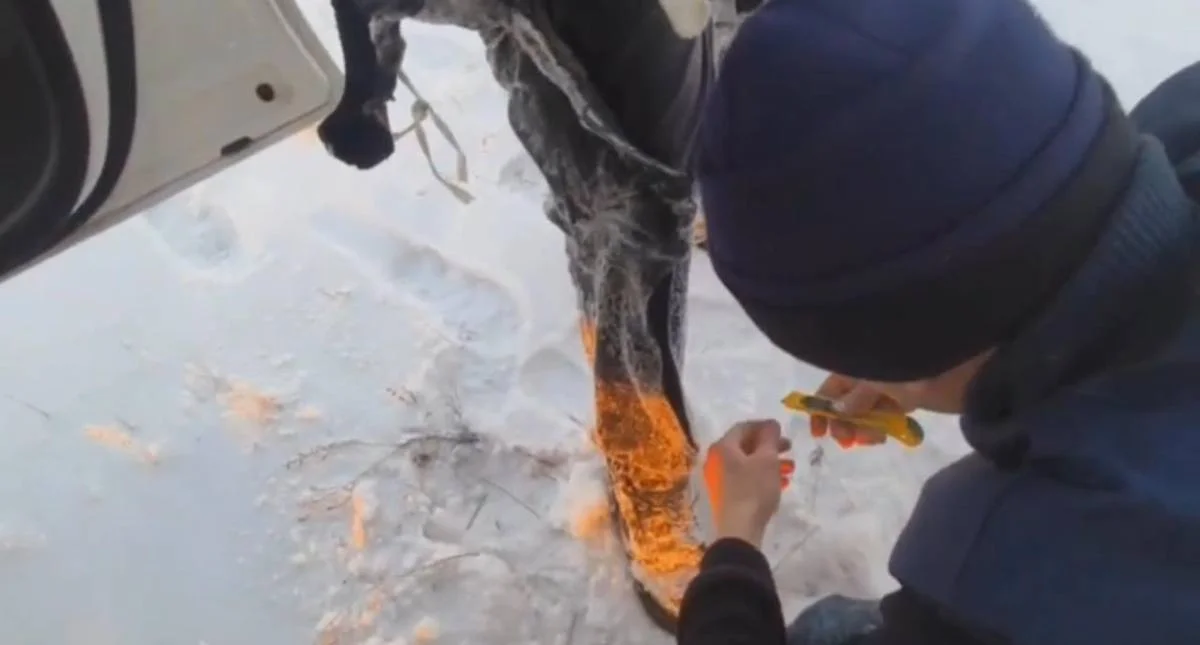 Рыбаков спасли на водохранилище в Павлодарской области (ВИДЕО)