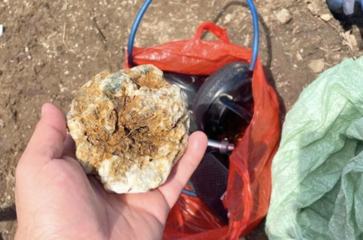 Золото незаконно добывали в области Абай