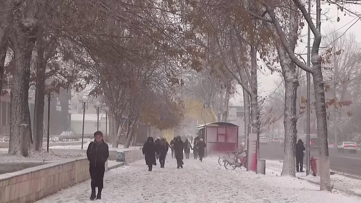 Шымкенттік әйел балаларының денесіне үтік басып, пешке күйдірген