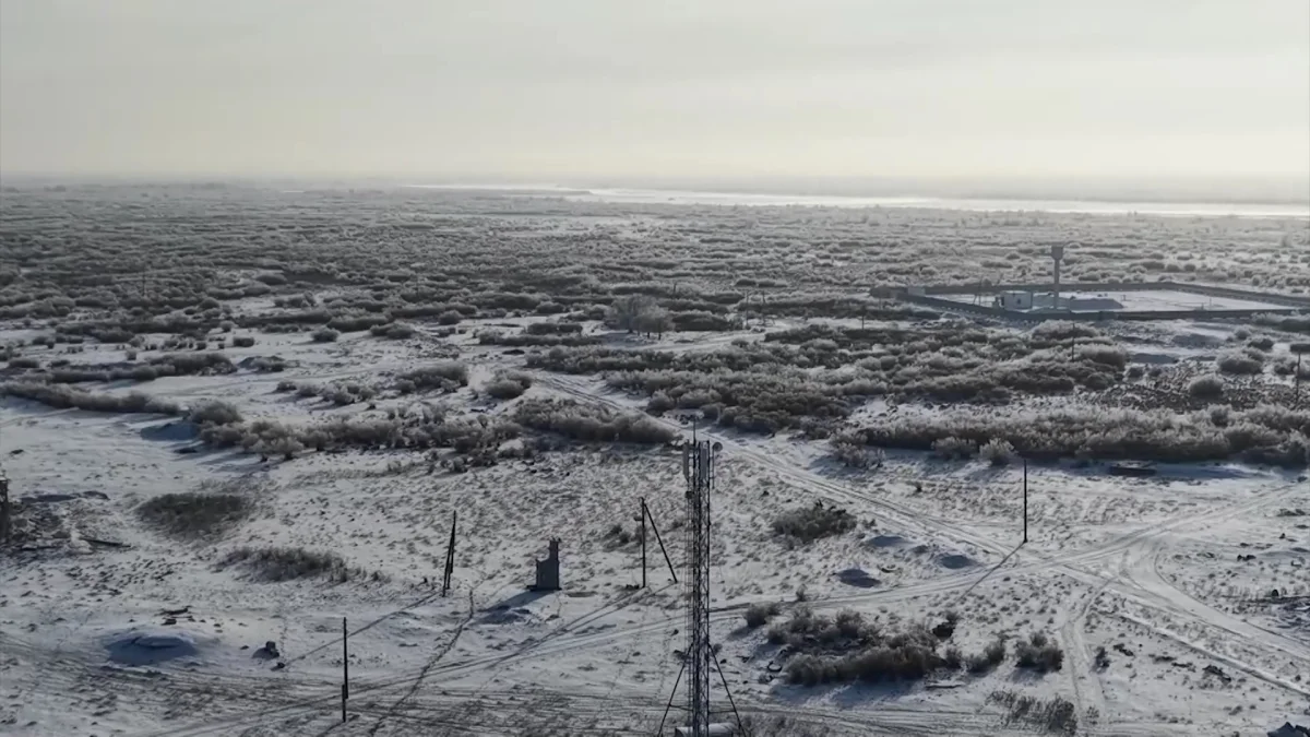 Алматы облысында орман өрті 14 есеге азайды