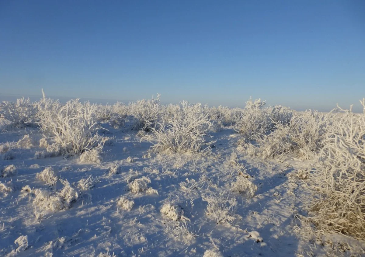 Пастух не вернулся домой в Жамбылской области