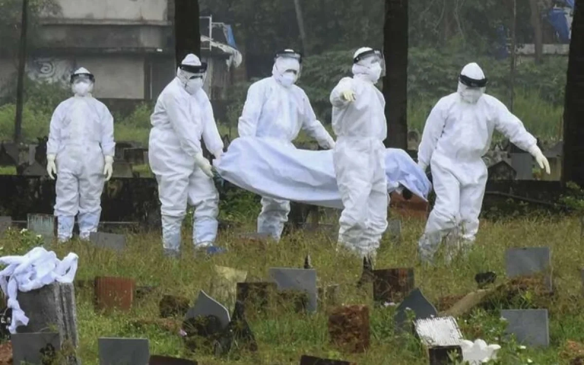 Үндістанда Нипах вирусы өршіді