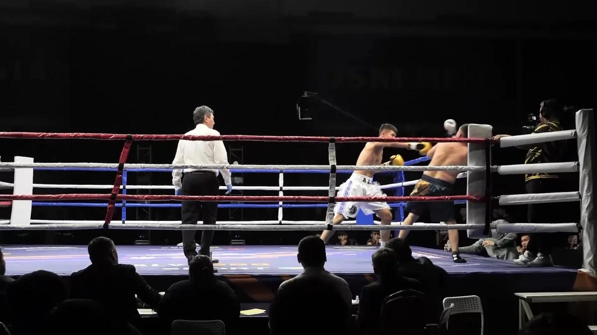 Усть-Каменогорск принял международный турнир Steppe Boxing 1