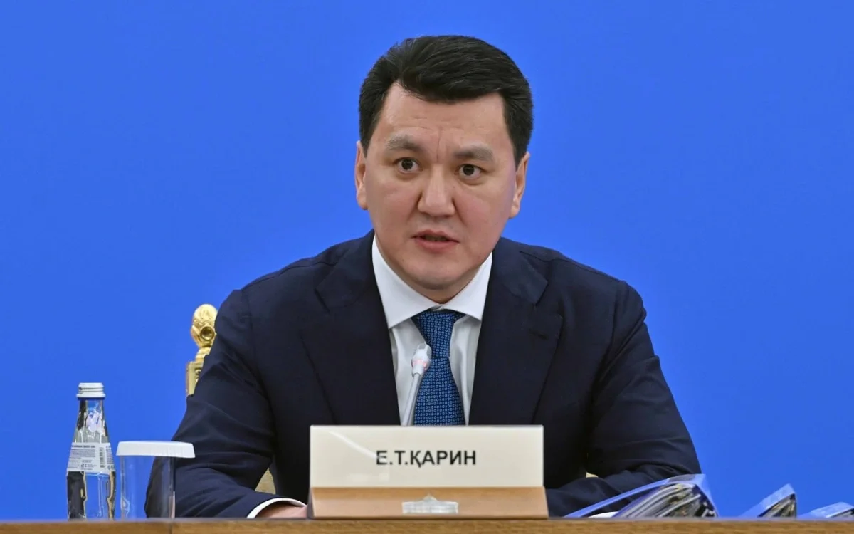 Ерлан Қарин: «Қазақстан балалары» бағдарламасы БҰҰ-ның Тұрақты даму мақсатына сәйкес келеді