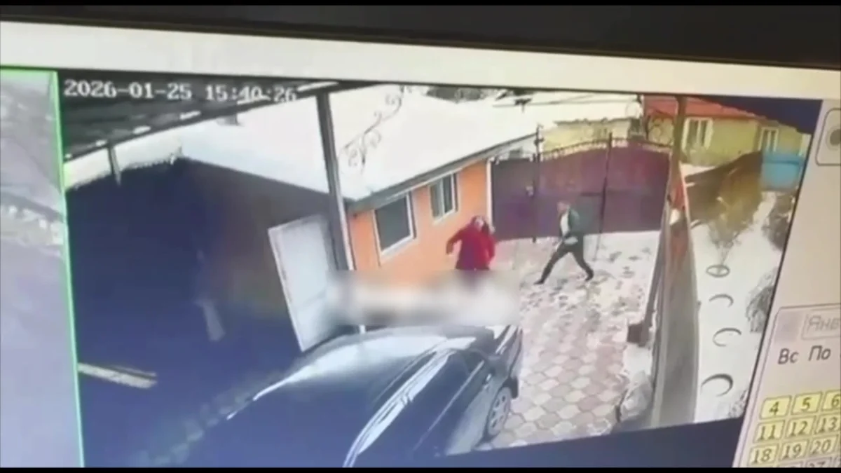 Алматы облысы тұрғыны әйелі мен енесін өлімше етіп сабап тастады