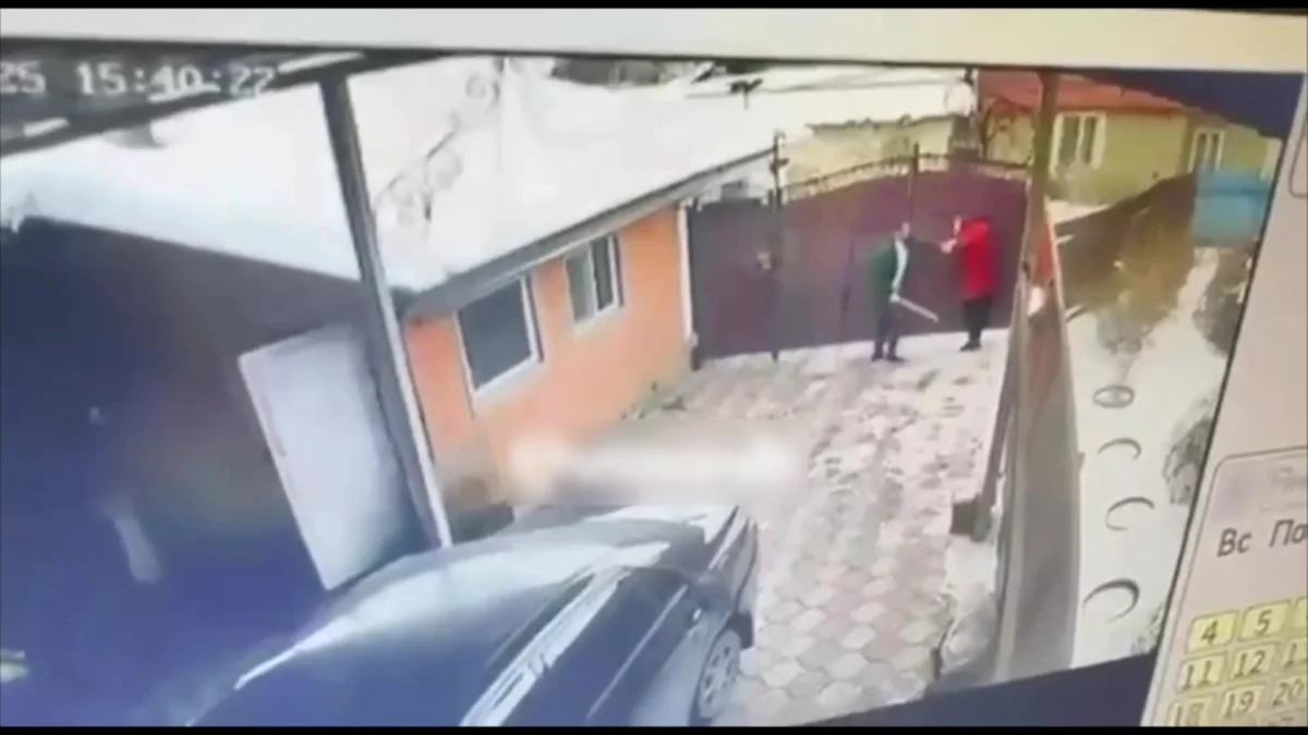 В Каскелене мужчина напал на супругу и тёщу - возбуждено уголовное дело