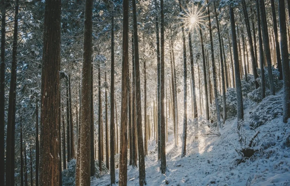 Антициклон и рост температур: погода в Казахстане до конца недели