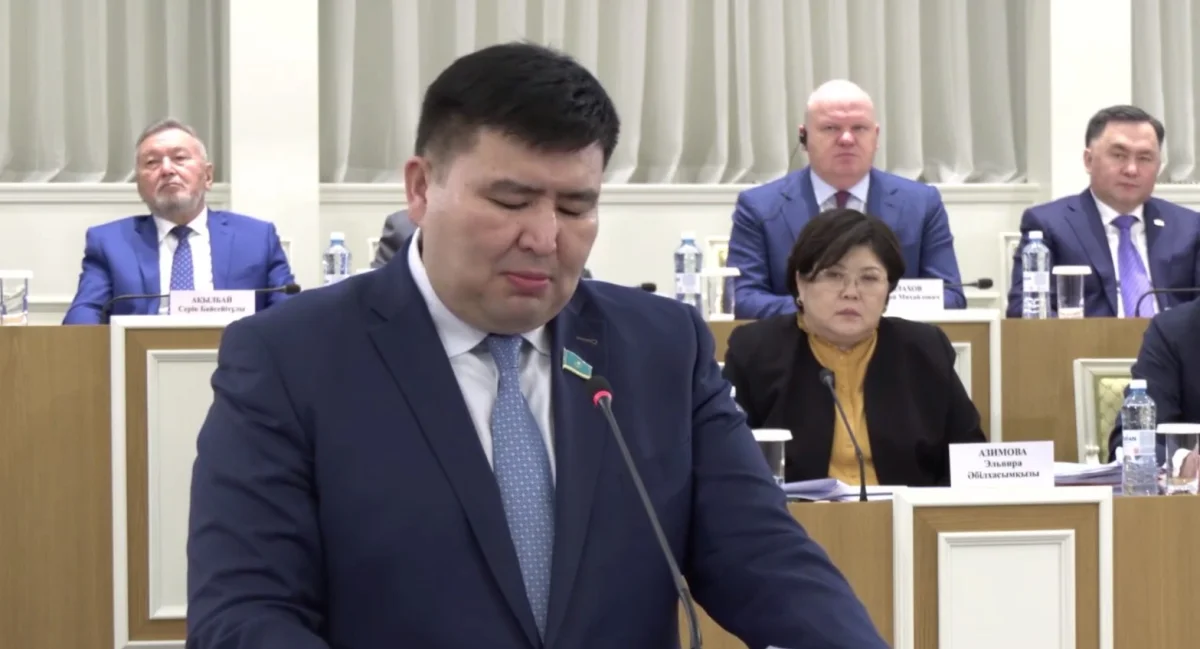 Народный совет - мост между государством и обществом, а не второй Парламент - Елнур Бейсенбаев