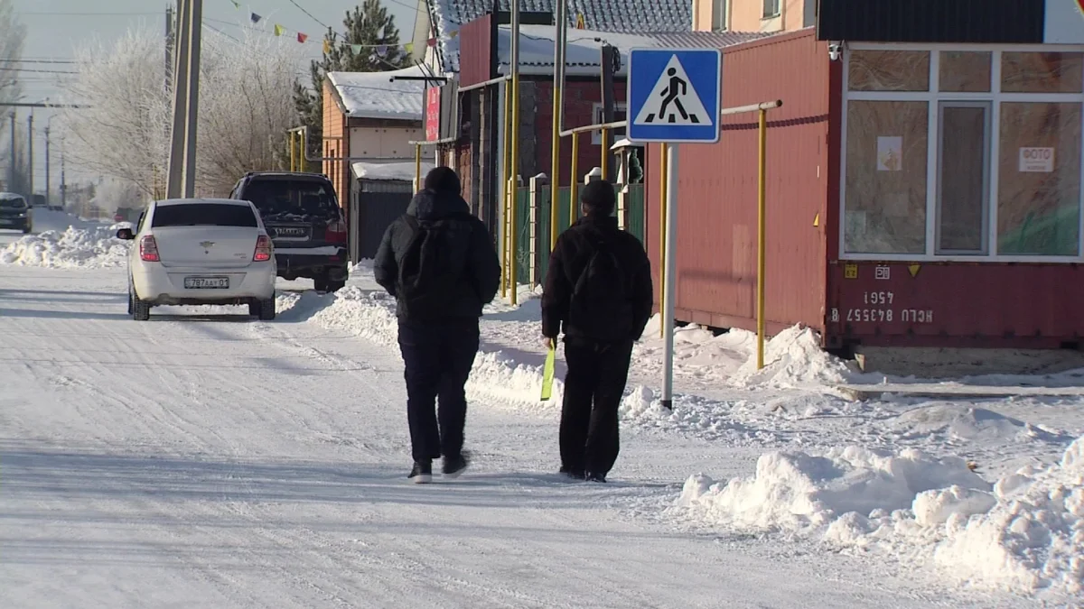 Қосшыда қосымша сабақ кезінде 10 жастағы қыз қайтыс болды