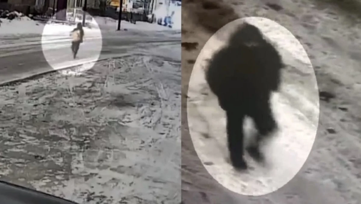 После новогодних каникул карагандинская семья обнаружила пропажу сейфа из своей квартиры