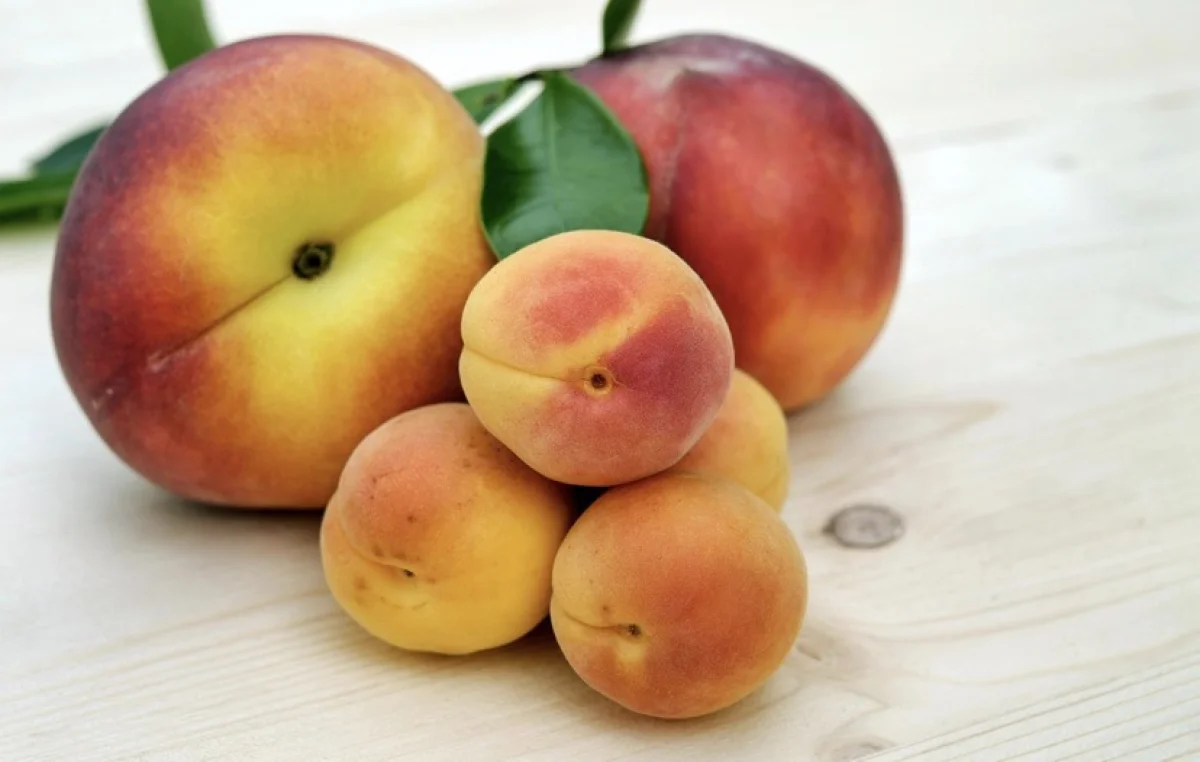 ЕЭК обнуляет пошлины на сахар, медь, текстиль и фрукты для Казахстана