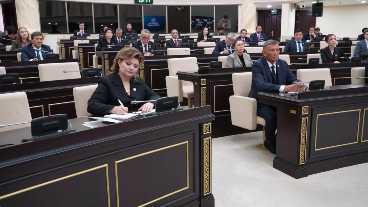 Қазақстан Халық Кеңесі: от предложения к законопроекту