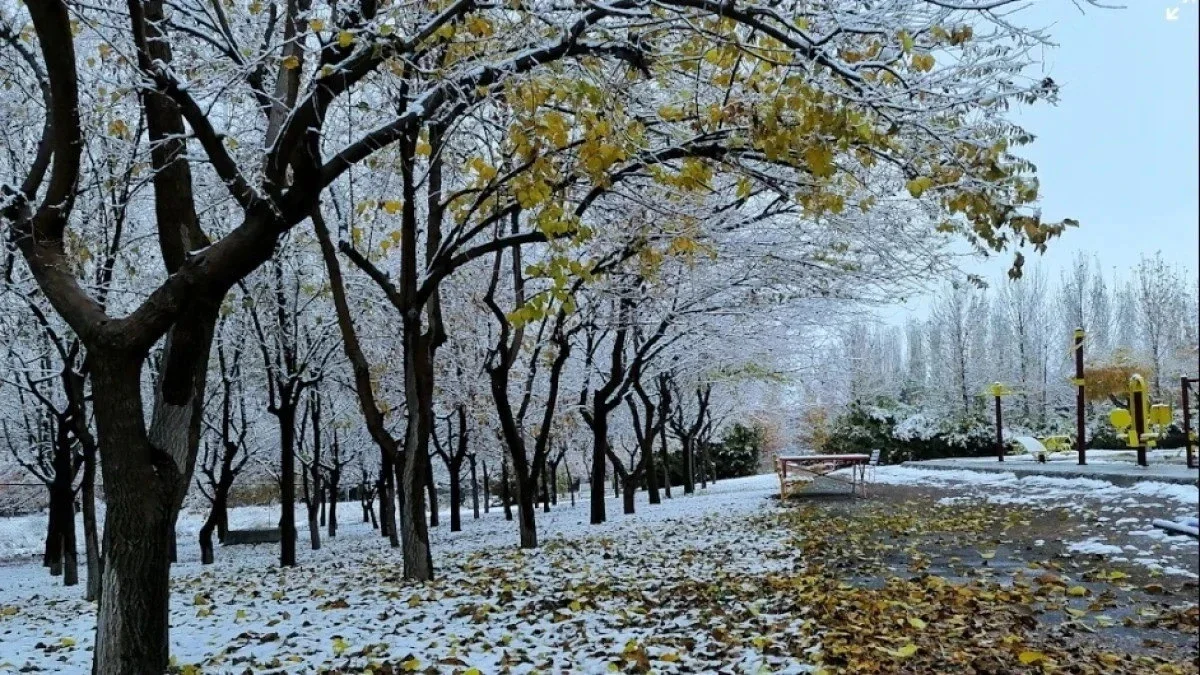 Қарашада Қазақстанда ауа райы қандай болады?