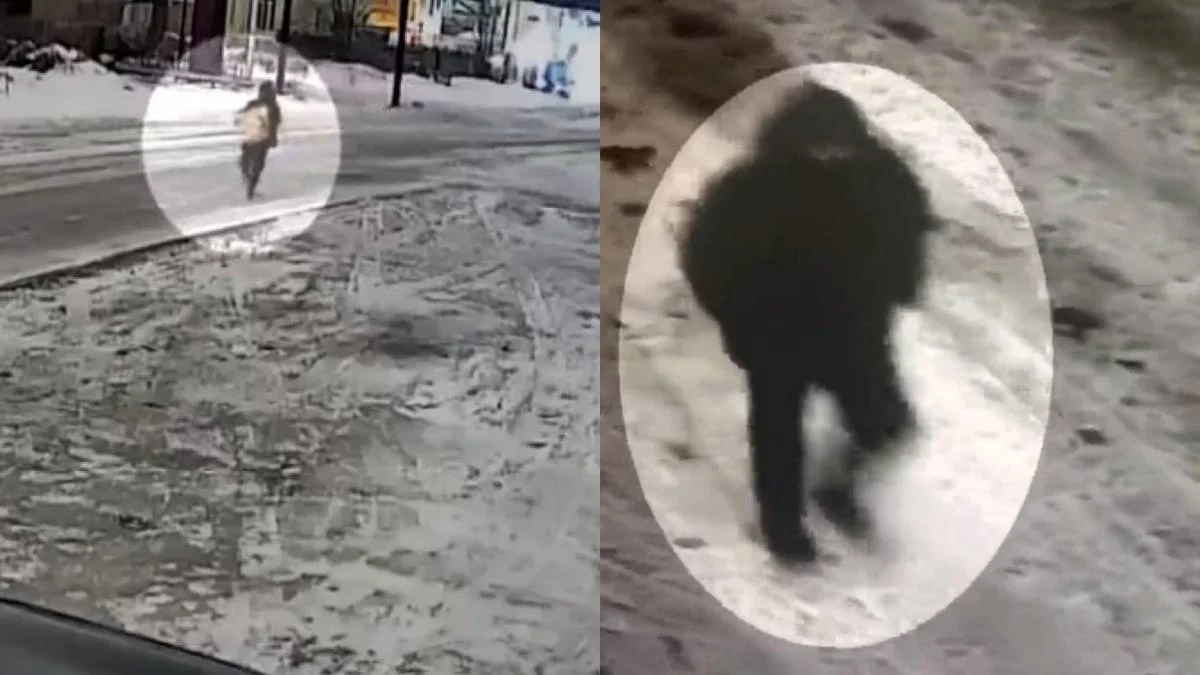 Полиция раскрыла кражу на 10 млн тенге в Караганде (ВИДЕО)