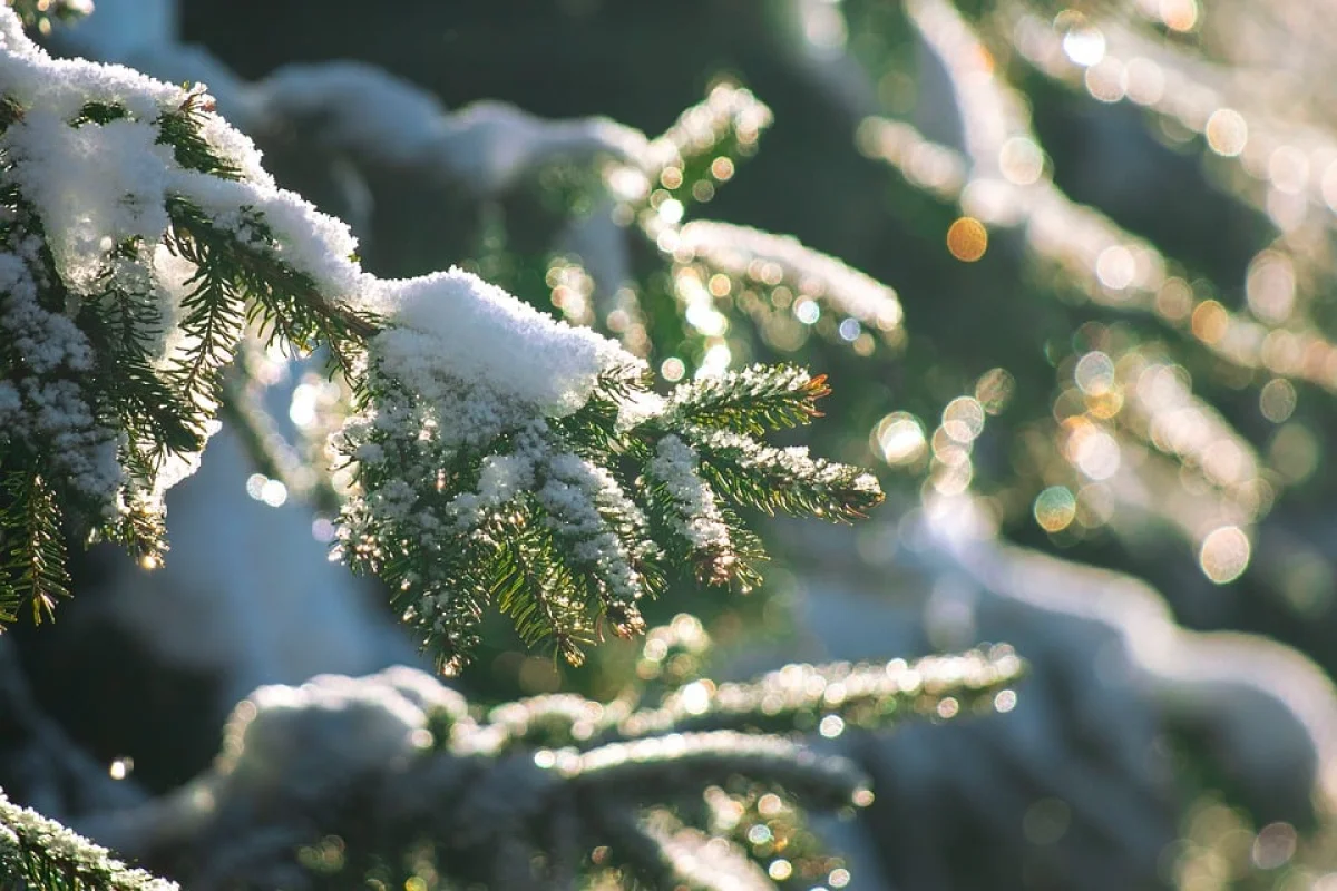 Оңтүстікте+17 градус, солтүскте -28 градус болады