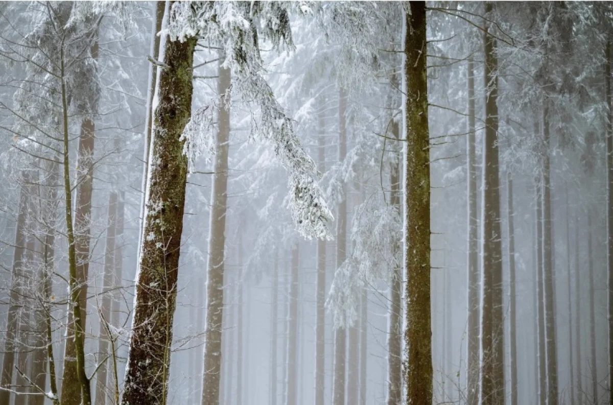 Туман, метели и ветер: непогода накроет большую часть Казахстана в среду, 4 февраля