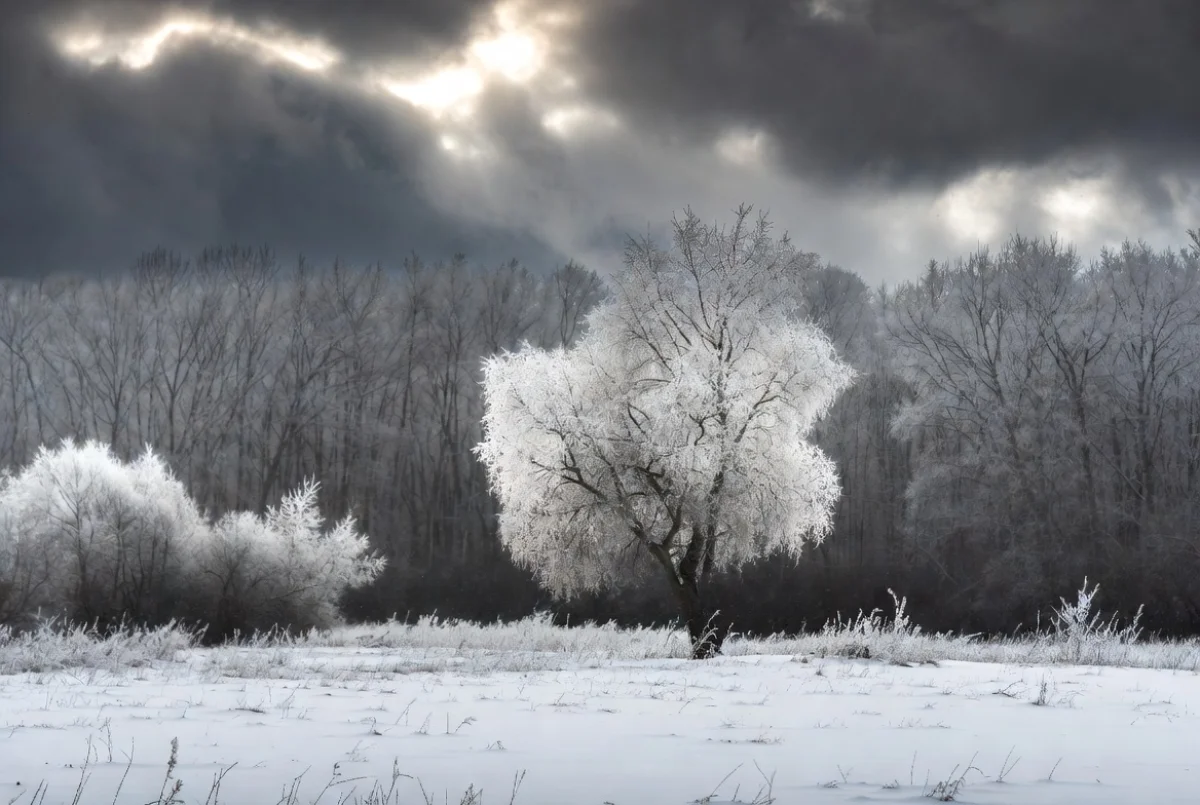 Прогноз погоды на 5 февраля 2026: мороз в Астане, тепло в Алматы и дожди в Шымкенте