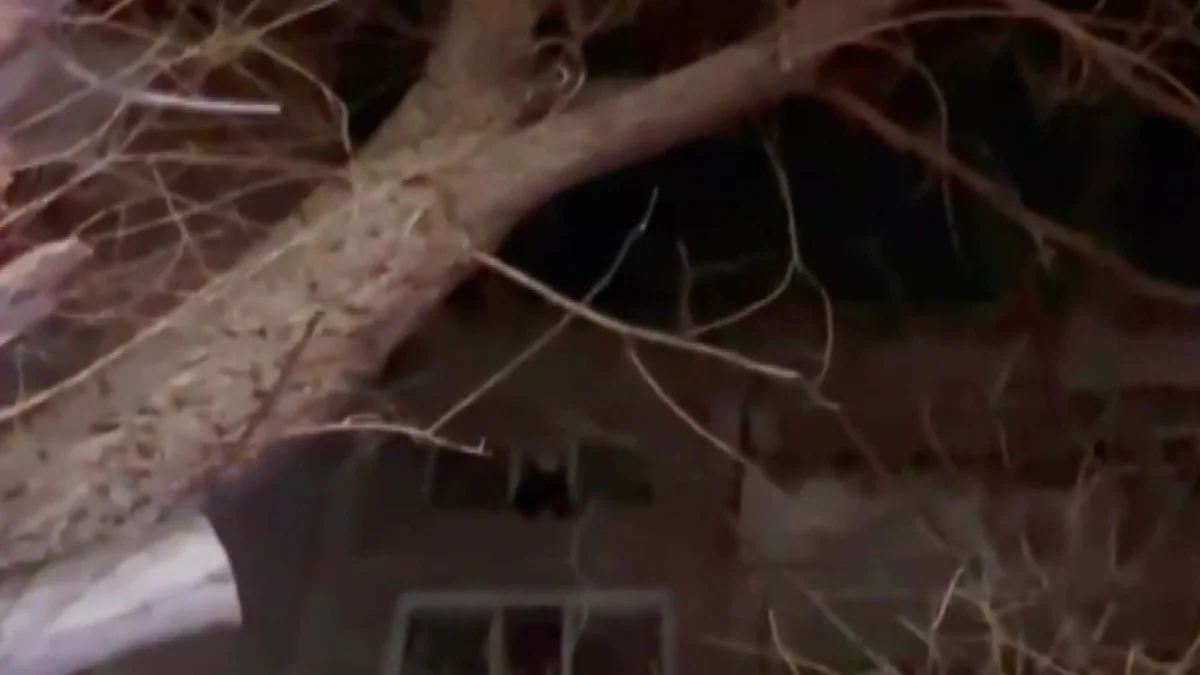 В Караганде сотрудники МЧС предотвратили трагедию — спасли ребёнка