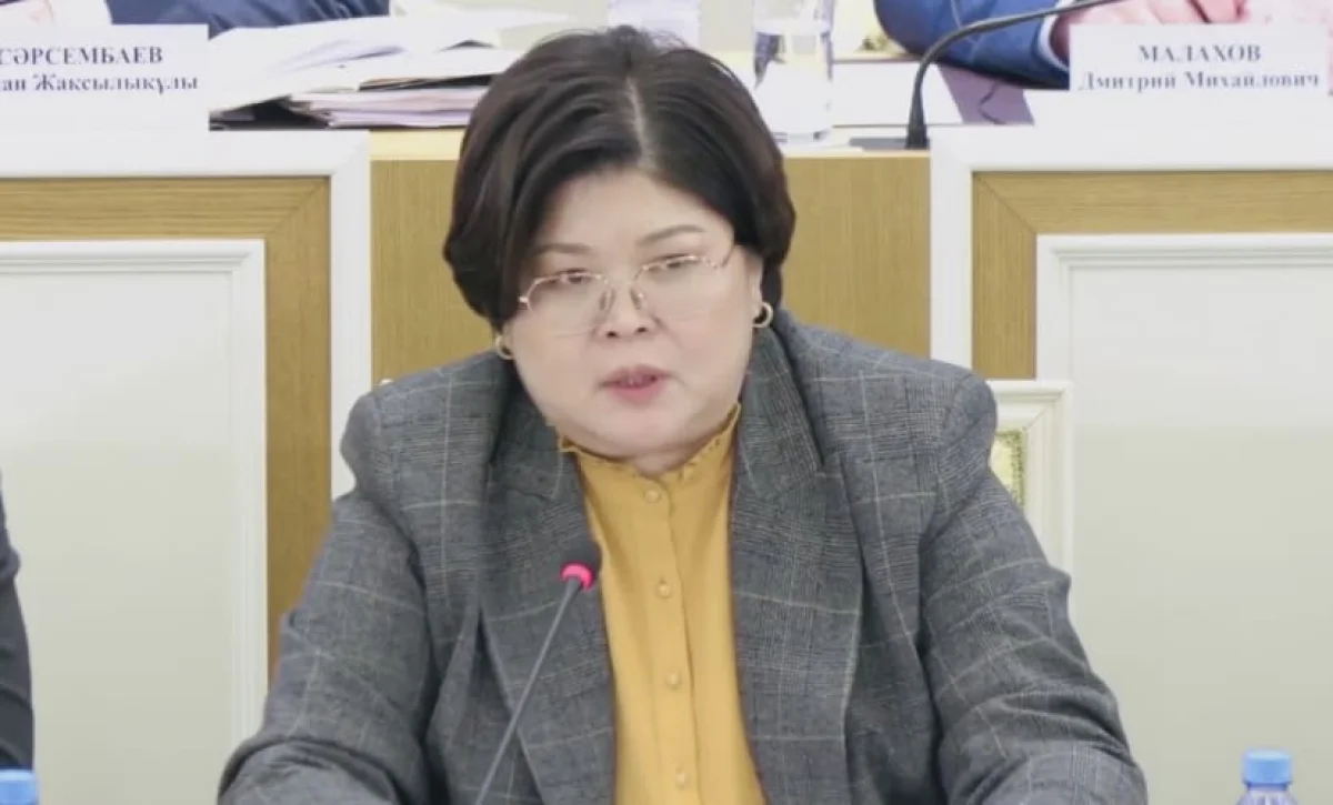 Более 4 тысяч предложений поступило по проекту новой Конституции – Эльвира Азимова