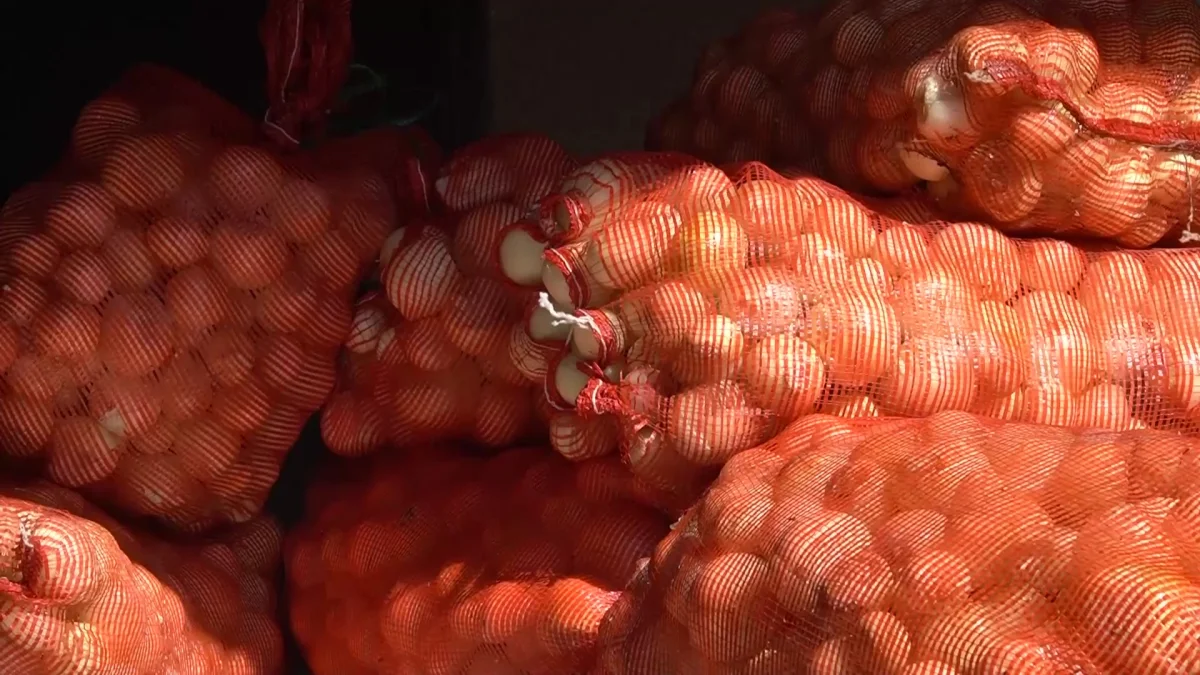 Оралдық кәсіпкерлер картопты 725,5% қымбаттатып сатқан