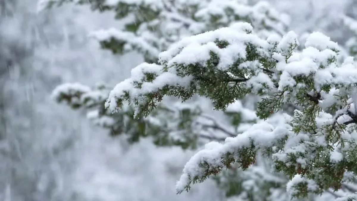 Снегопады накроют все мегаполисы Казахстана в пятницу, 6 февраля