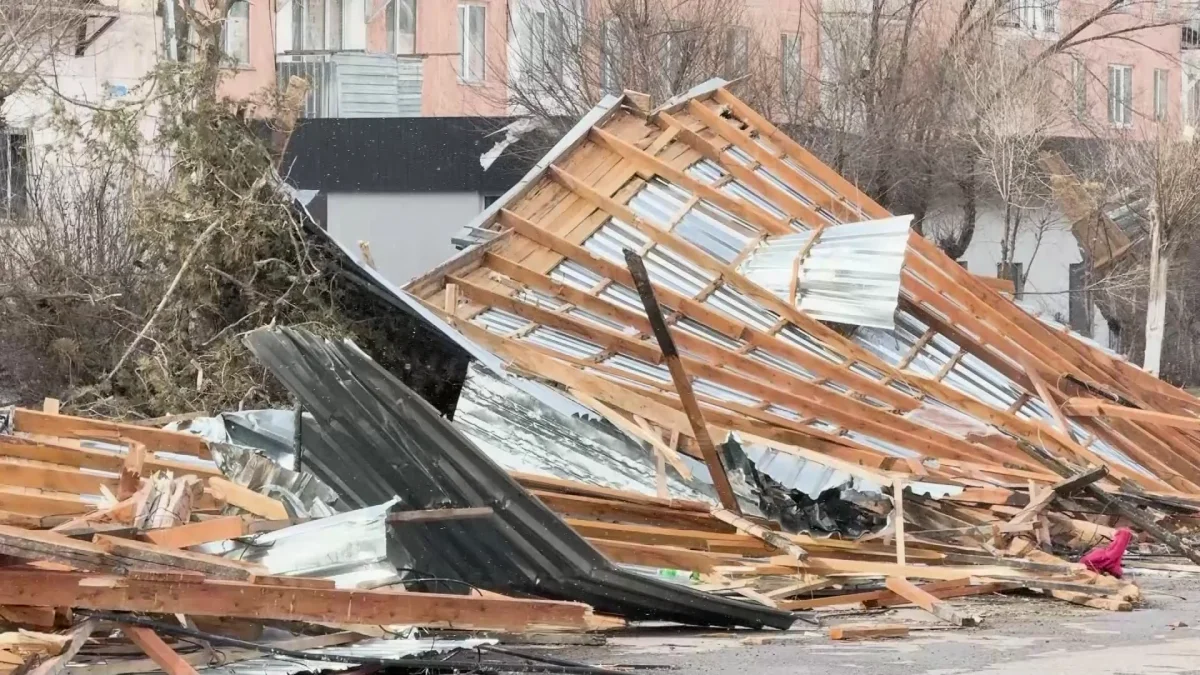 Жаңатас қаласында жойқын желден ағаштар құлап, 30-дан астам көлікті басып қалды